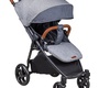 Прогулочная коляска Coletto Nevia