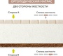 Матрас PLITEX Orto Foam (160х80х12см)