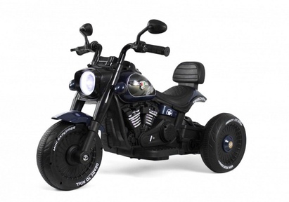 Детский электромобиль Rivertoys G500GG трицикл