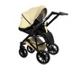 Детская коляска Bruca Onyx 2 в 1