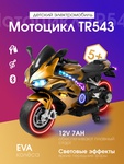 Детский электромотоцикл Farfello TR543