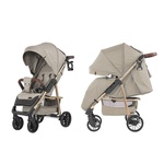 Детская коляска CARRELLO Echo CRL-8508