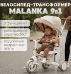 Велосипед-трансформер BubaGO Malanka 9в1