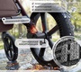 Коляска Sweet baby Elegante Pro SBL 2в1