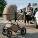 Beige (Silver Glossy)