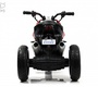 Детский электротрицикл Rivertoys Z333ZZ