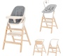 Стульчик для кормления Carrello Ergo 4в1 CRL-16701 