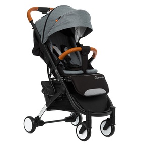 Легкая коляска Babyzz D200