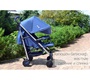 Детская коляска CARRELLO Arena CRL-8504