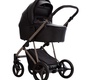 Детская коляска Bebetto PELPASSO PRO 2в1