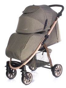 Прогулочная коляска Everflo Rover E-470