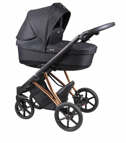 Коляска детская Coletto Craft 2 в 1 