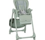 Стульчик для кормления Carrello Lotus CRL-12101