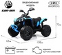 Детский электроквадроцикл Rivertoys BRP Can-Am Renegade (Y333YY) 