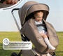 Коляска Sweet Baby Verde 3в1