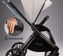 Детская коляска AmaroBaby Motus Premium Ecco 2в1