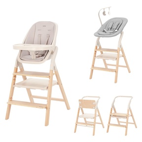 Стульчик для кормления Carrello Ergo 4в1 CRL-16701 