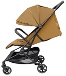 Прогулочная коляска CARRELLO Evo CRL-5533