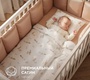 Комплект в кроватку RANT Home Лесная прогулка (6 предметов) сатин