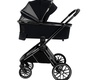 Коляска PITUSO Mayla Lux 2в1