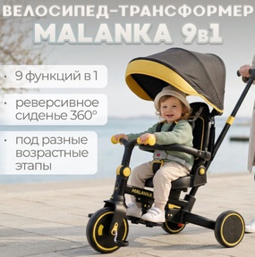 Велосипед-трансформер BubaGO Malanka 9в1