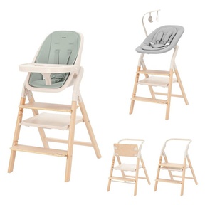 Стульчик для кормления Carrello Ergo 4в1 CRL-16701 