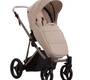Детская коляска Bebetto PELPASSO PRO 2в1