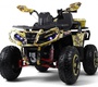 Детский электроквадроцикл Rivertoys Z111ZZ 