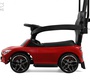 Детский толокар Rivertoys Z005ZZ-MP