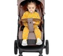 Прогулочная коляска Carrello Polo CRL- 5519 