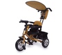 Детский велосипед Jetem Lexus Trike Next Generation