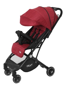 Коляска прогулочная BABY TILLY Bella T-163