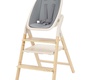 Стульчик для кормления Carrello Ergo 4в1 CRL-16701 