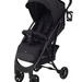 Onyx Black