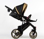 Детская коляска Retrus Milano Premium 3 в 1