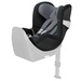 Pepper Black