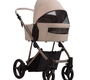 Детская коляска Bebetto PELPASSO PRO 2в1