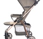 Прогулочная коляска Everflo Rover E-470