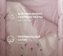 Комплект в кроватку Rant Koala Dream (6 предметов) 