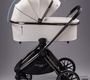 Детская коляска AmaroBaby Motus Premium Ecco 2в1