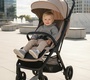 Прогулочная коляска Tomix Easy