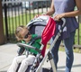 Прогулочная коляска UPPAbaby CRUZ 