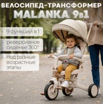 Велосипед-трансформер BubaGO Malanka 9в1