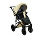 Детская коляска Bruca Onyx 2 в 1