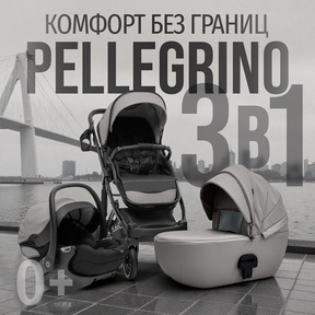 Коляска BubaGO Pellegrino 3в1