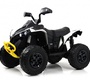 Детский электроквадроцикл Rivertoys BRP Can-Am Renegade (Y333YY) 
